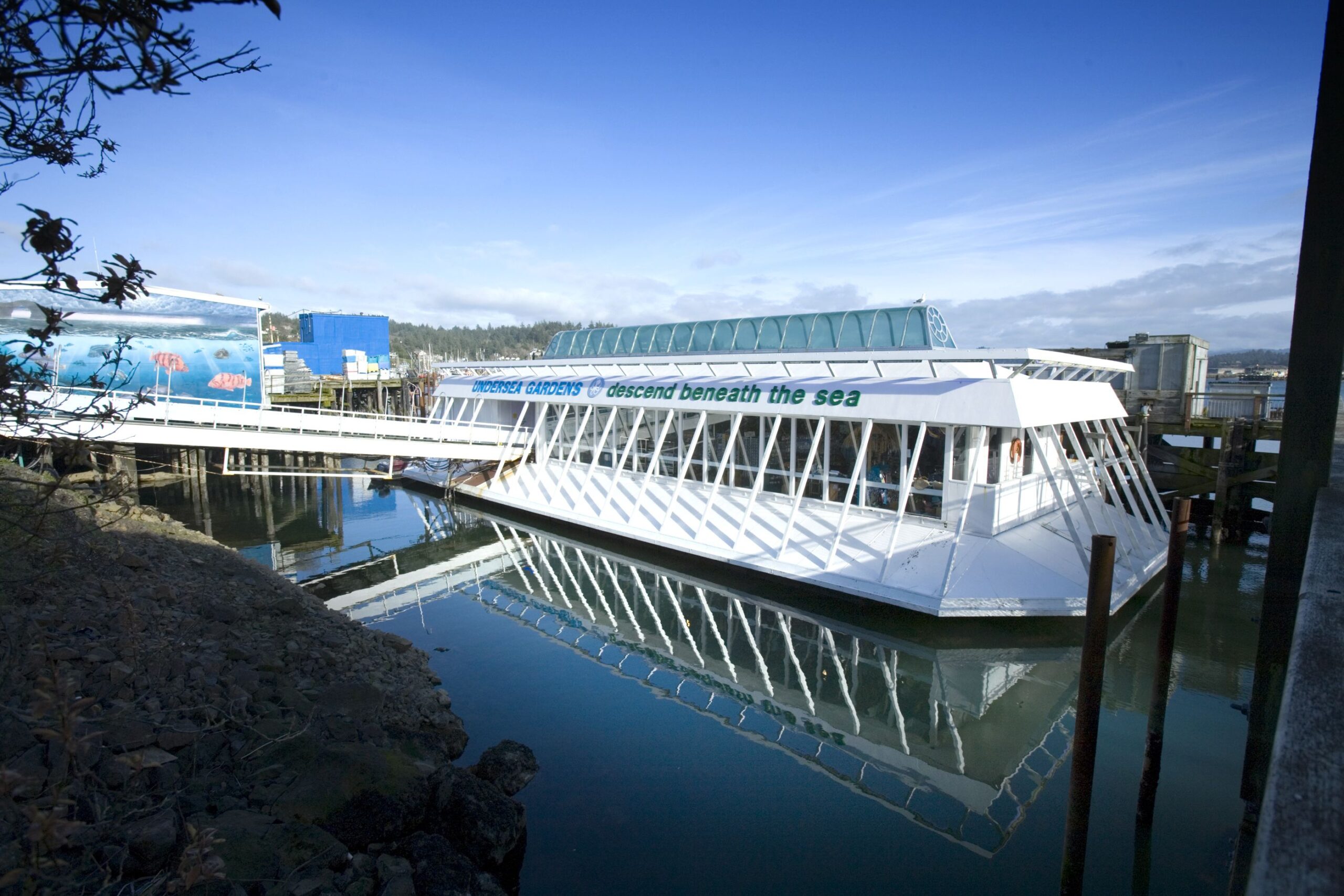 Undersea Gardens Newport Oregon