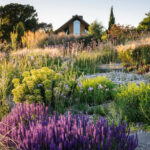 What Flowers are Good for Eco-Friendly Gardens