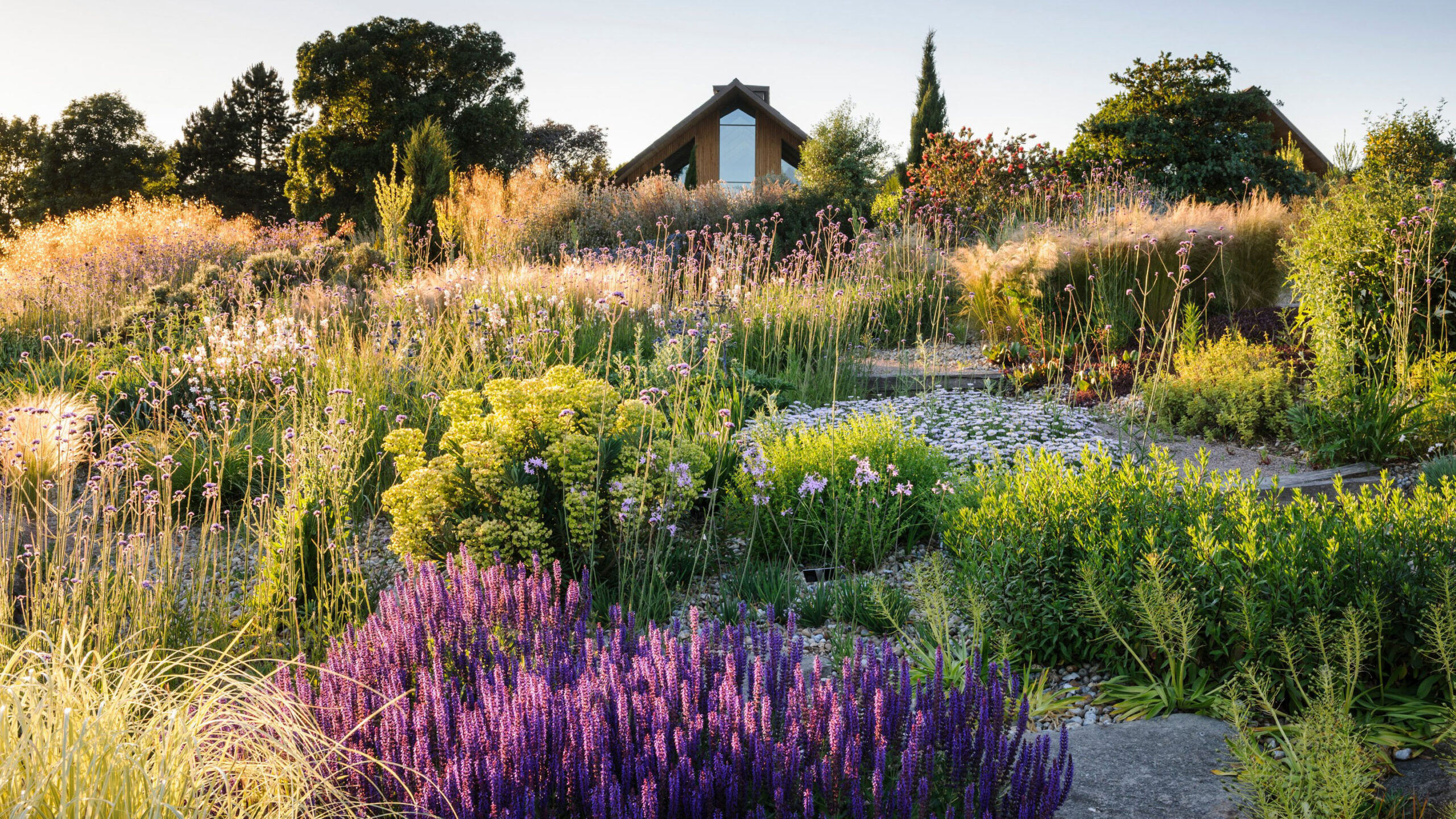 What Flowers are Good for Eco-Friendly Gardens