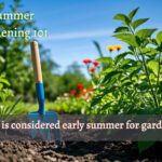 What is Considered Early Summer for Gardening