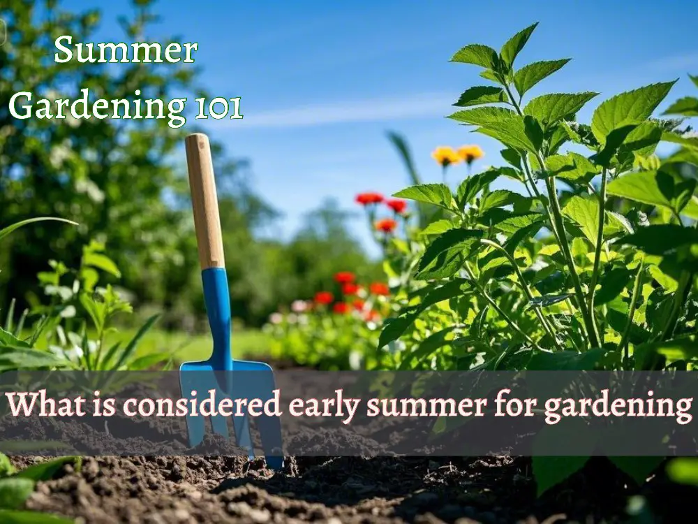 What is Considered Early Summer for Gardening