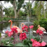 Wonder Gardens Bonita Springs Fl