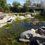 Yume Japanese Gardens of Tucson