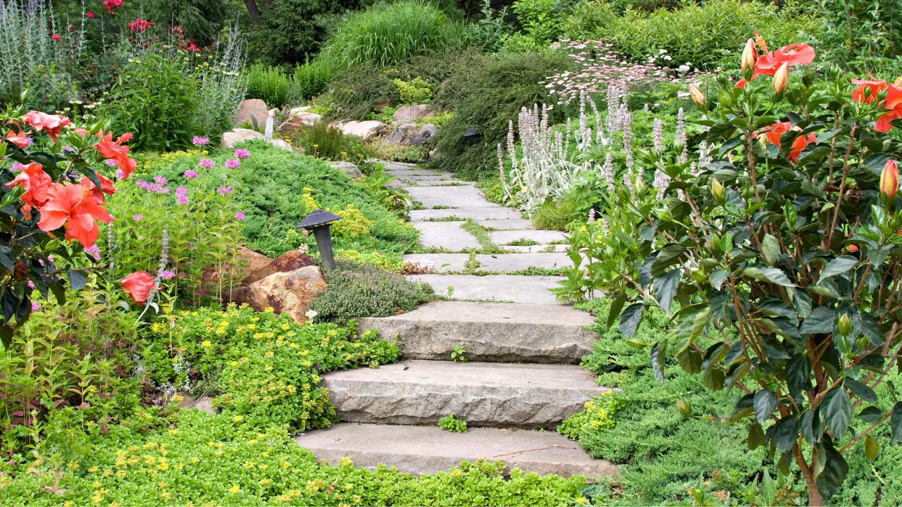 Comfort & Care at Delmar Gardens of O Fallon