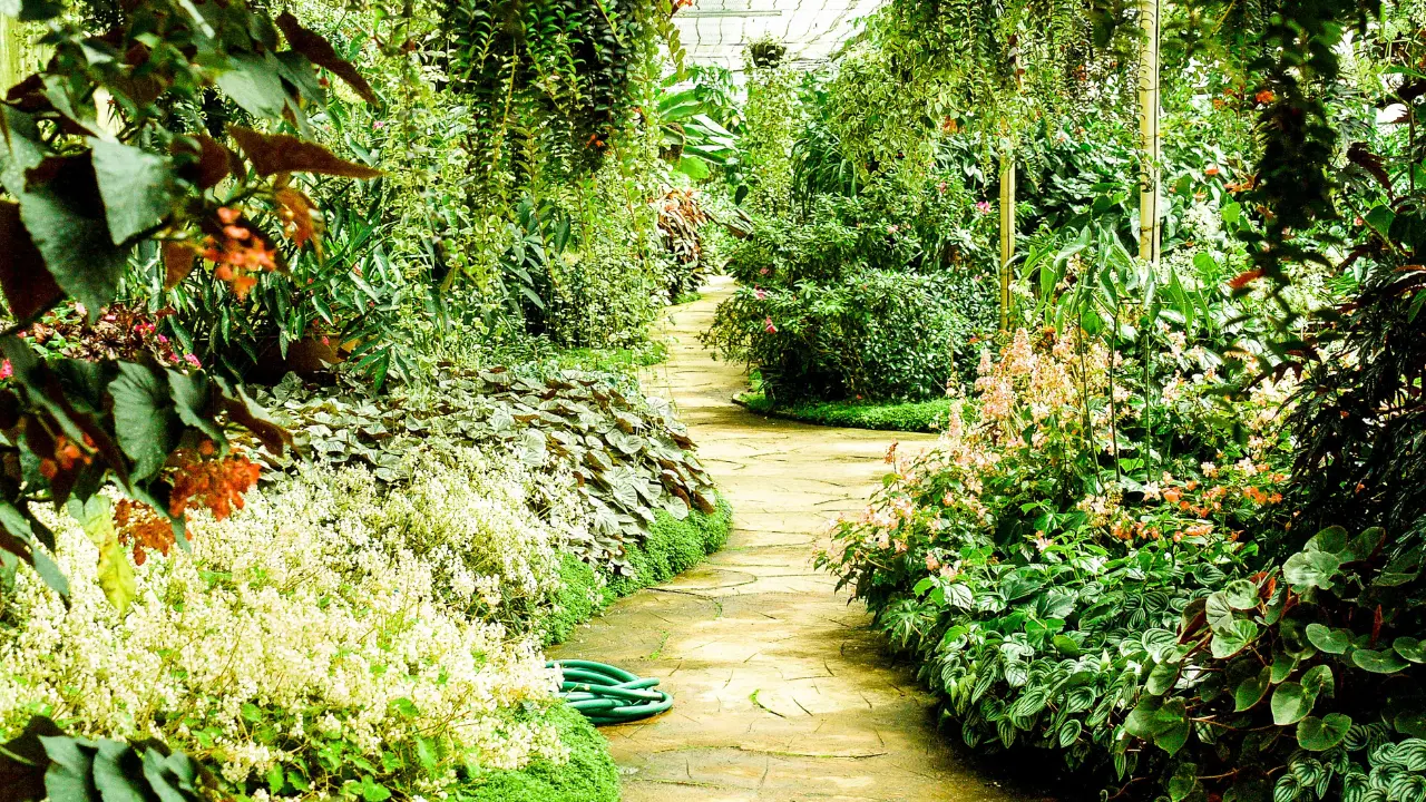 Comfort & Care at Delmar Gardens of O Fallon