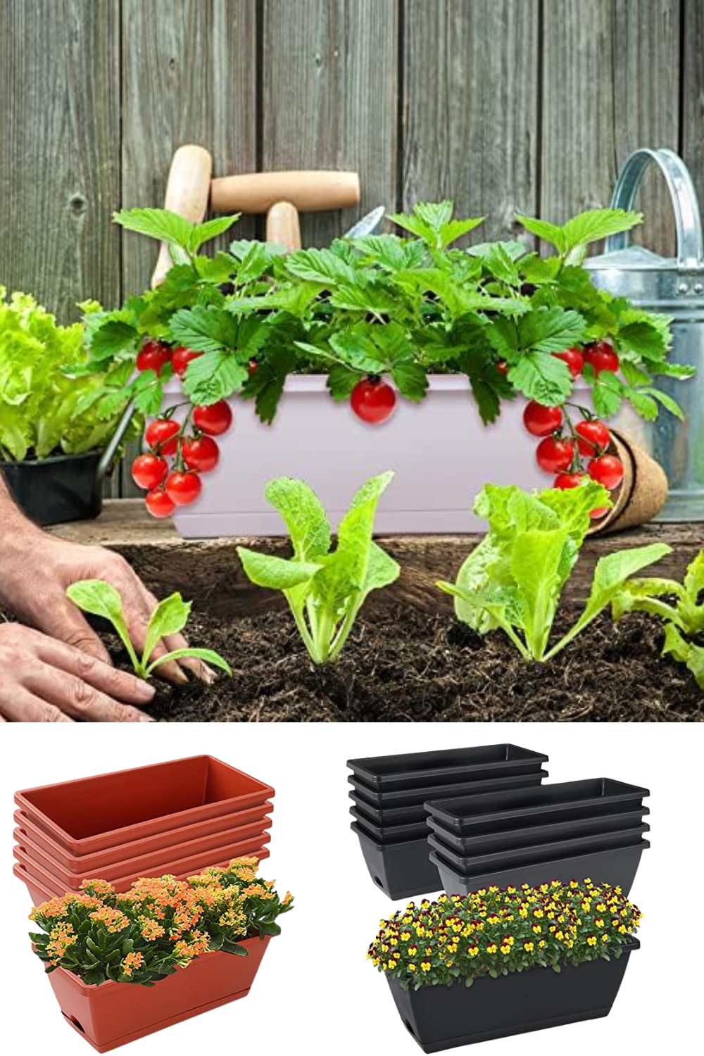  Indoor Strawberry Planter Ideas