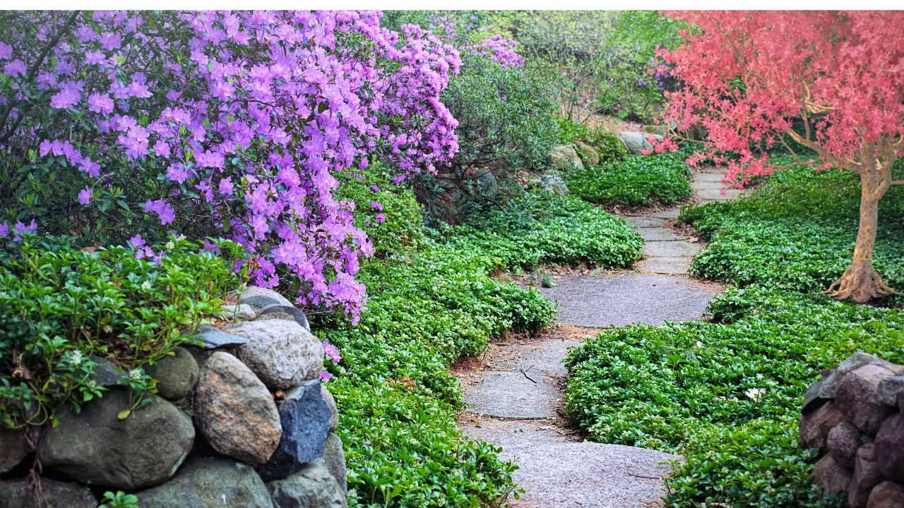 Comfort & Care at Delmar Gardens of O Fallon