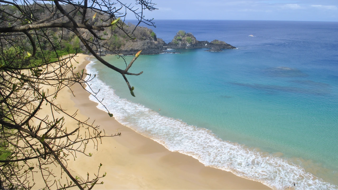 Best Beaches In The World 