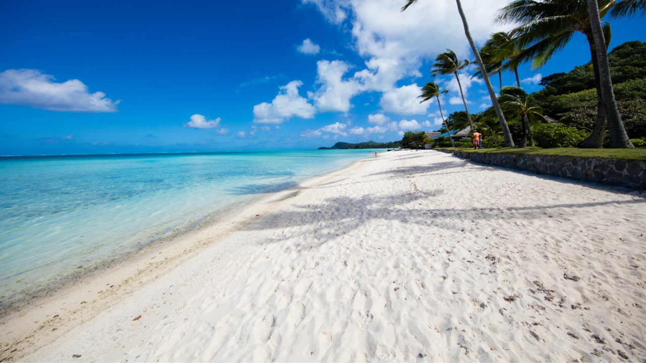Best Beaches In The World 