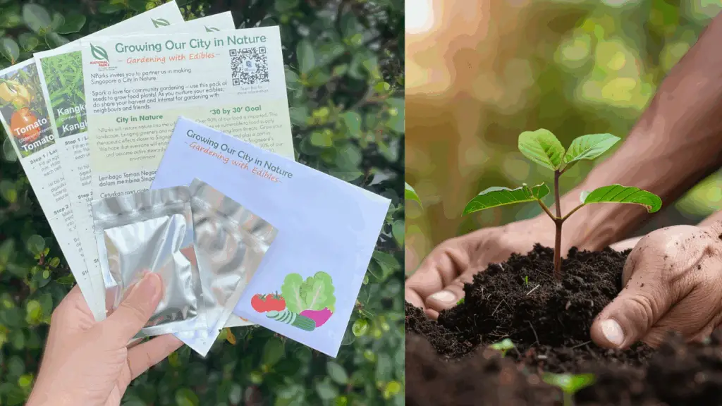 Gardening with Edibles Initiative
