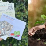 Gardening with Edibles Initiative