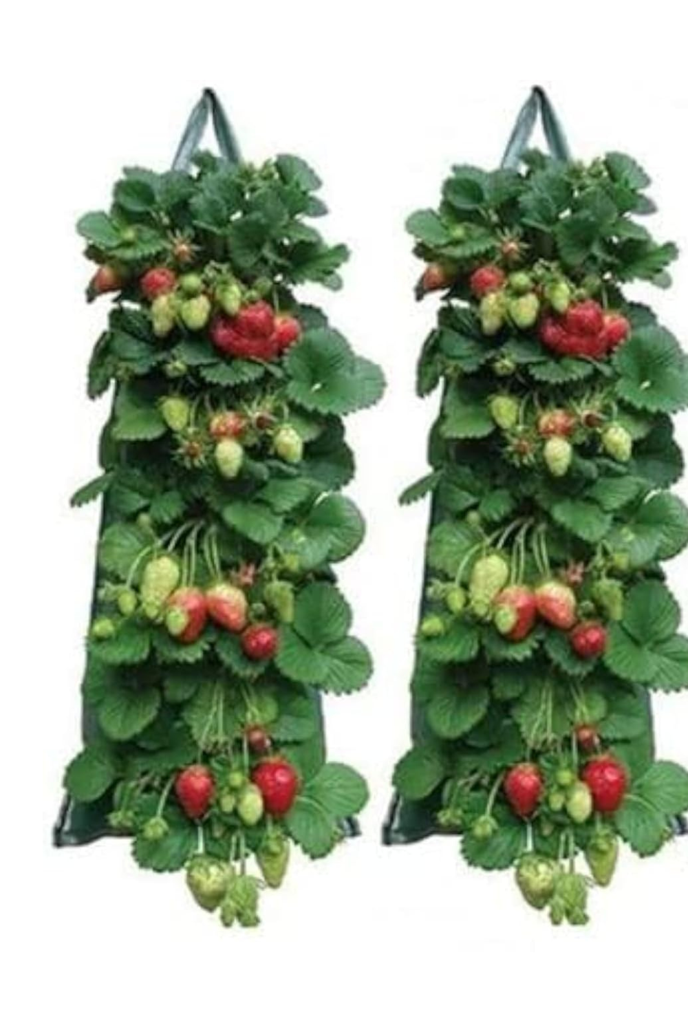 Strawberry Planter