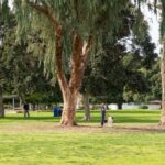 Allied Gardens Park San Diego