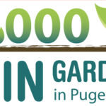 Are Rain Gardens Expensive