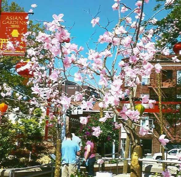 Asian Gardens of Shreveport