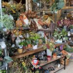 Bay Gardens - Garden Center & Landscaping