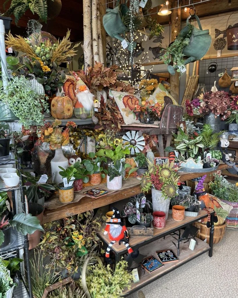 Bay Gardens - Garden Center & Landscaping