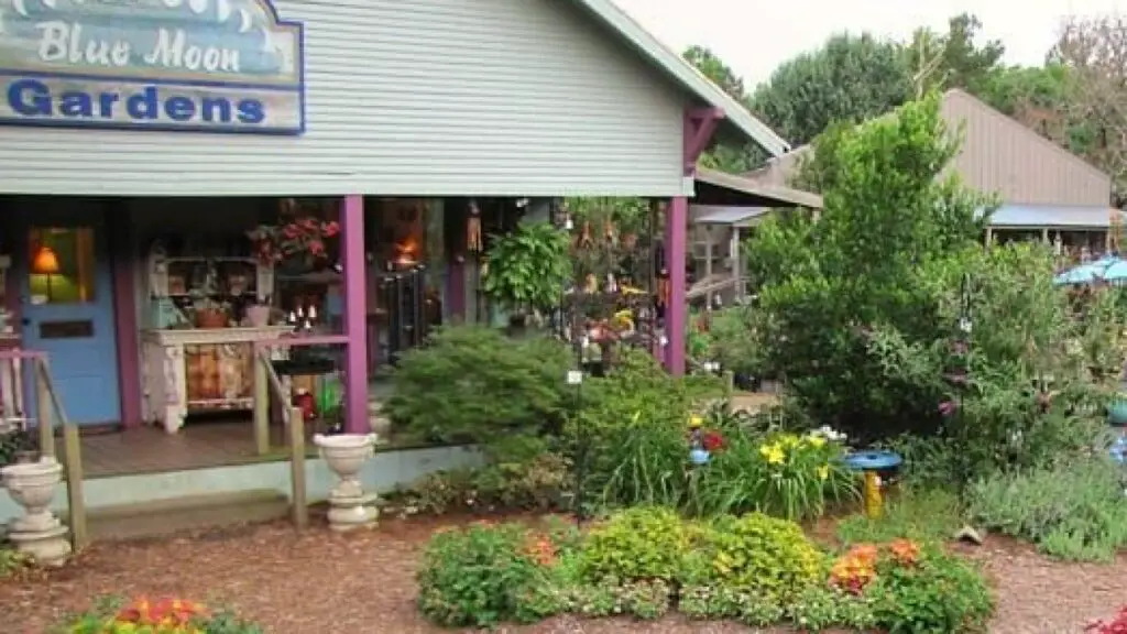 Blue Moon Gardens Texas