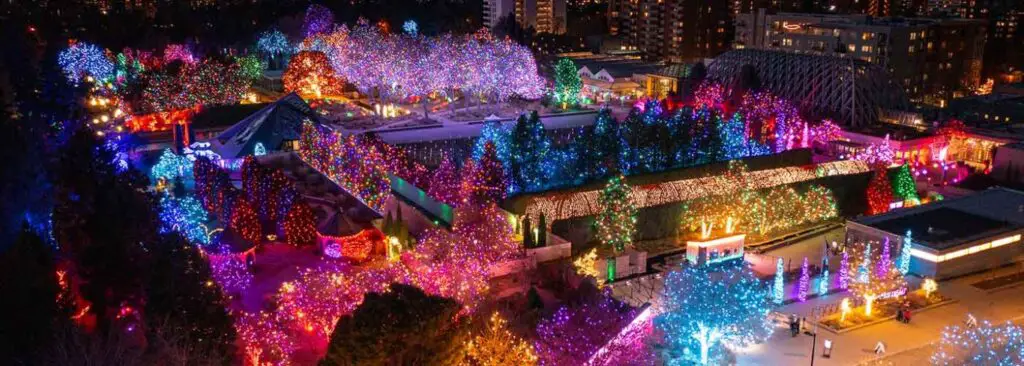 Botanic Gardens Blossoms of Light