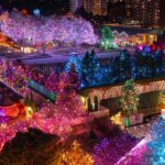 Botanic Gardens Blossoms of Light