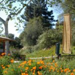 Botanical Gardens in Claremont