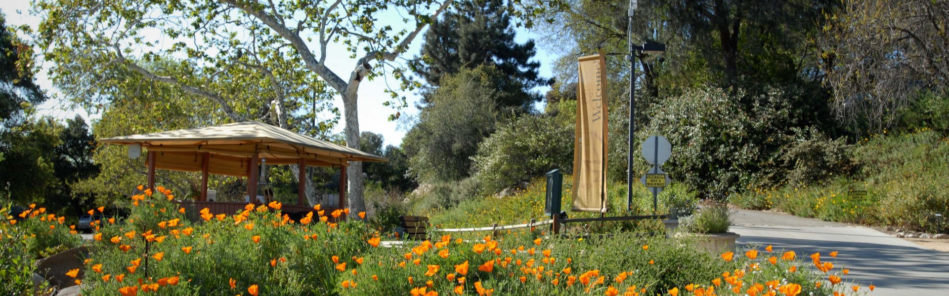 Botanical Gardens in Claremont