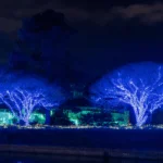 Botanical Gardens Lights in Norfolk Va