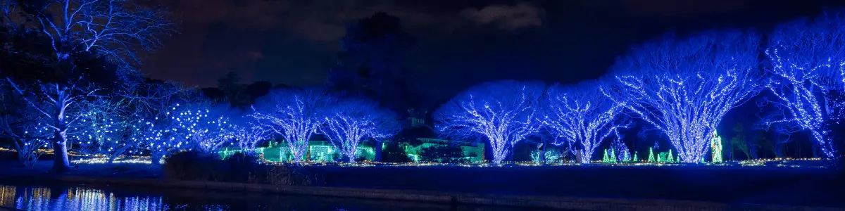 Botanical Gardens Lights in Norfolk Va
