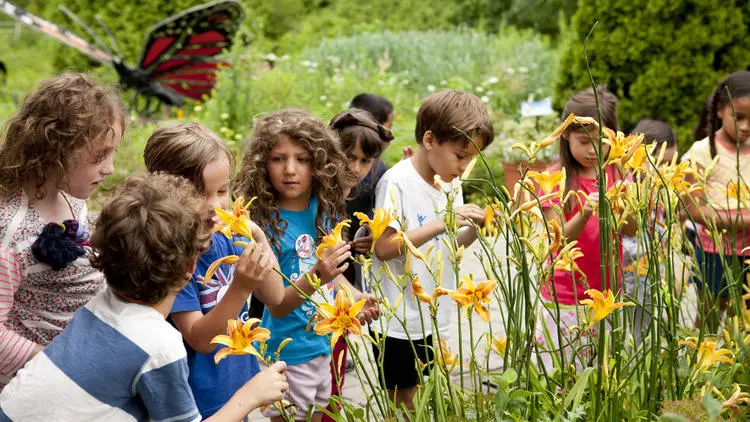 Botanical Gardens Summer Camp
