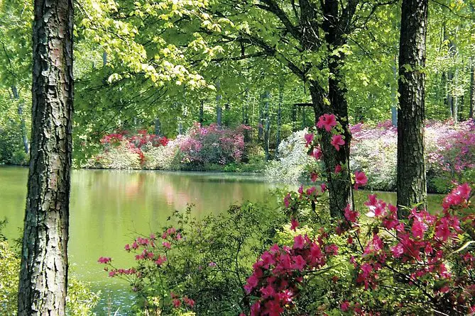 Callaway Gardens Ga Admission
