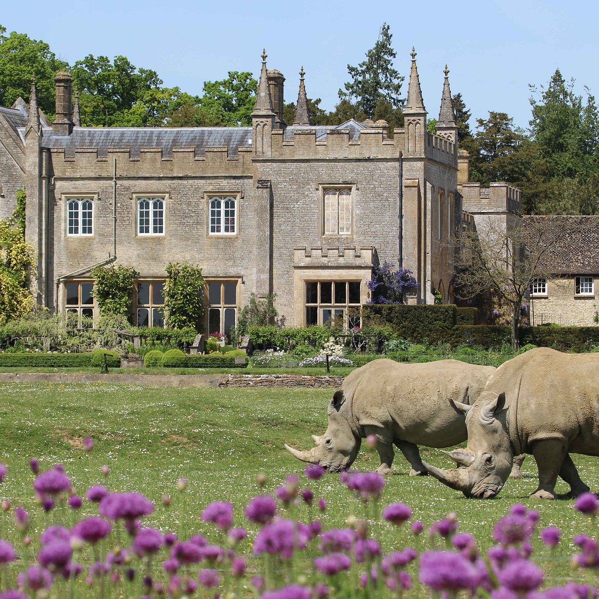 Cotswold Wildlife Park And Gardens