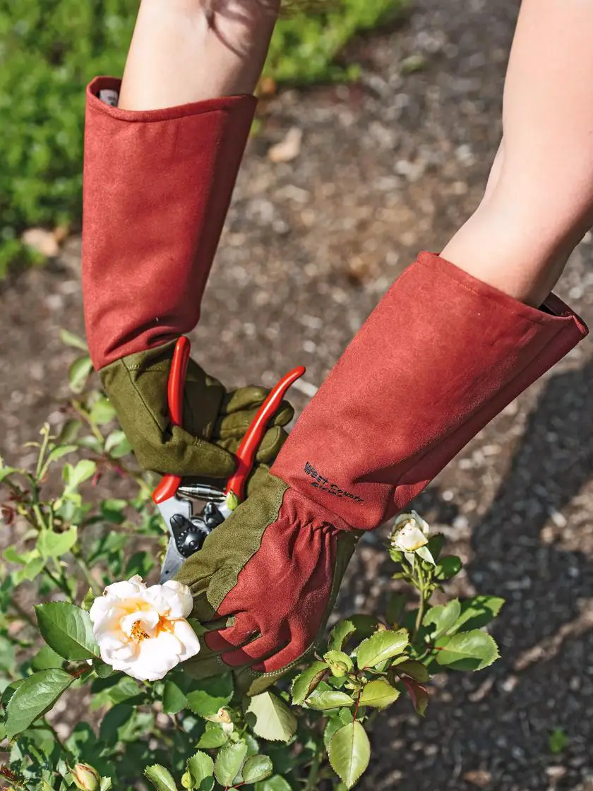 Gardener Leather Rose Gloves