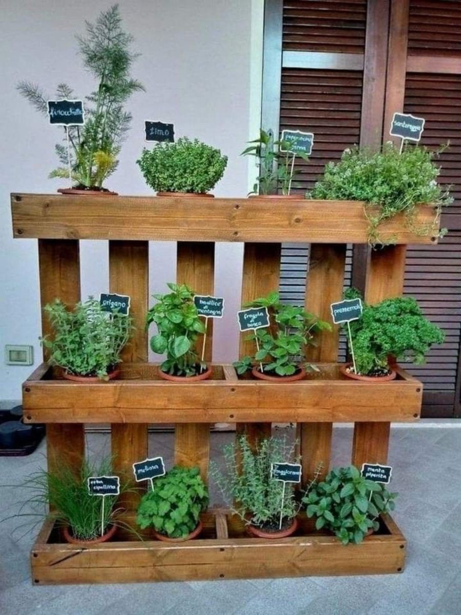 Indoor Strawberry Planter Ideas: Transform Your Space