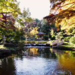 Japanese Gardens Fort Worth