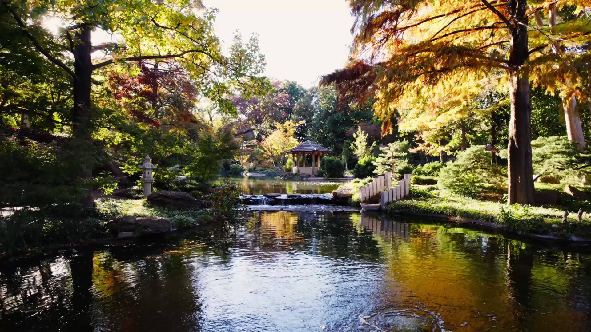 Japanese Gardens Fort Worth