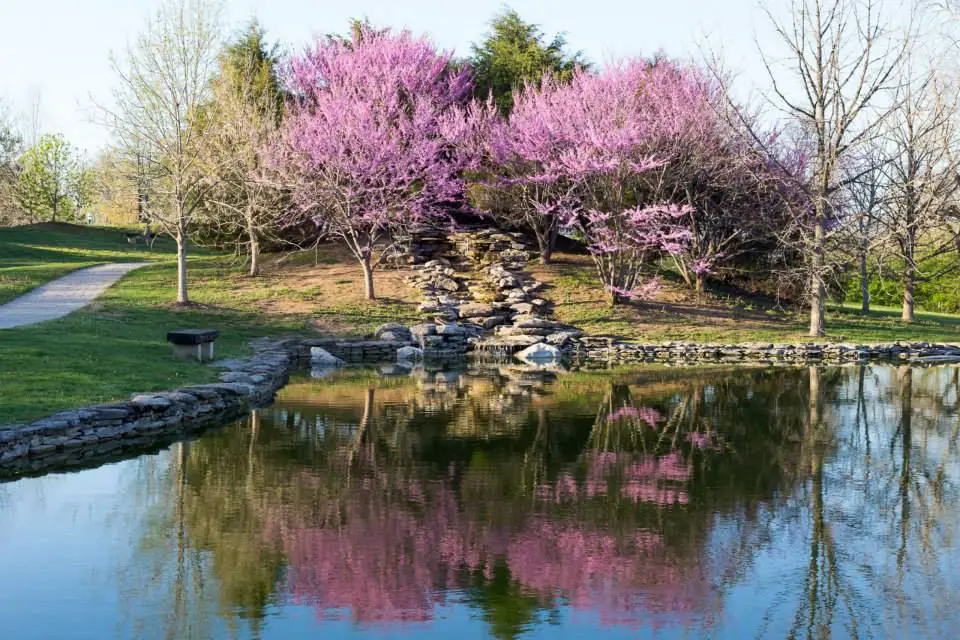 Japanese Gardens Georgetown Ky