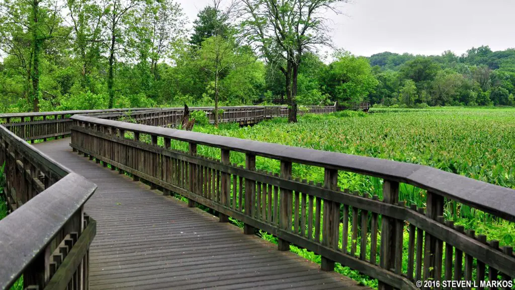 Kenilworth Park Aquatic Gardens Boardwalk