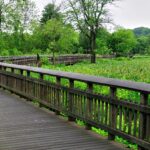 Kenilworth Park Aquatic Gardens Boardwalk