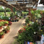King'S Gardens Garden Center Lexington Ky