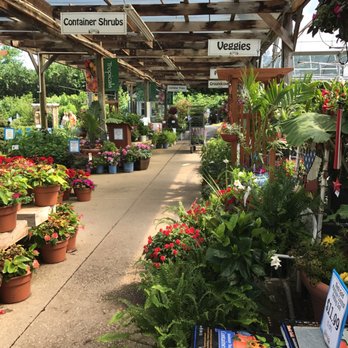 King'S Gardens Garden Center Lexington Ky