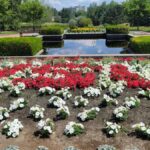 Lawson Gardens Pullman Wa
