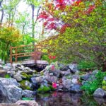 Lendonwood Gardens Grove Oklahoma