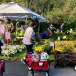 Leu Gardens Plant Sale