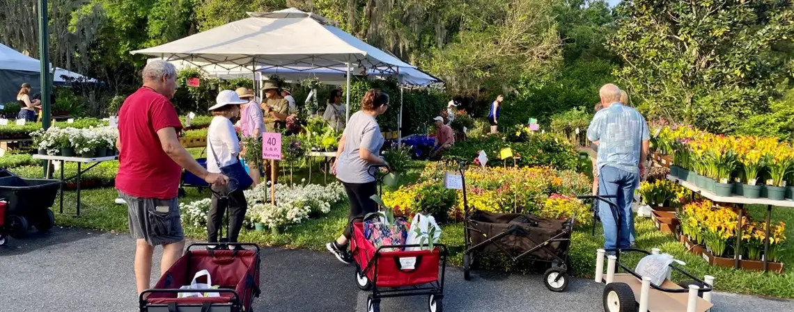 Leu Gardens Plant Sale