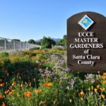 Master Gardener Santa Clara County