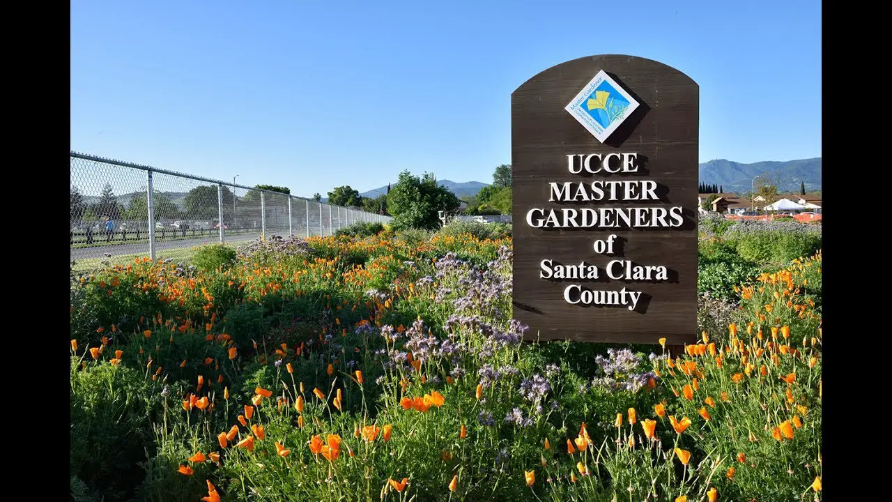 Master Gardener Santa Clara County