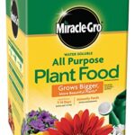 Miracle-Gro Indoor Plant Food Review