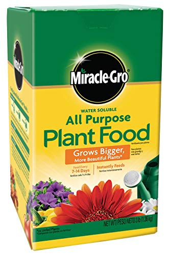 Miracle-Gro Indoor Plant Food Review