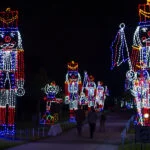 Moody Gardens Galveston Christmas Lights
