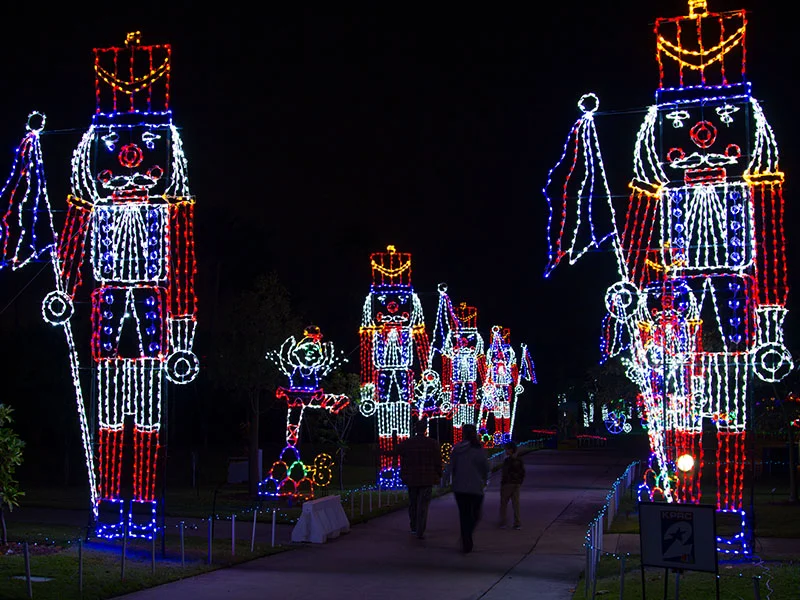 Moody Gardens Galveston Christmas Lights
